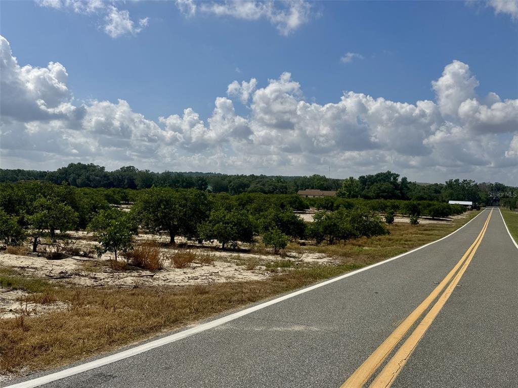 A paved road runs alongside a citrus grove under a blue sky with clouds — CROOKED LAKE DRIVE N, BABSON PARK, FL