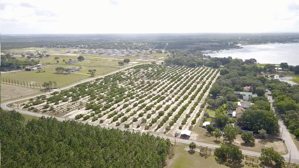 An aerial view shows a large citrus grove adjacent to a road and a lake — CROOKED LAKE DRIVE N, BABSON PARK, FL