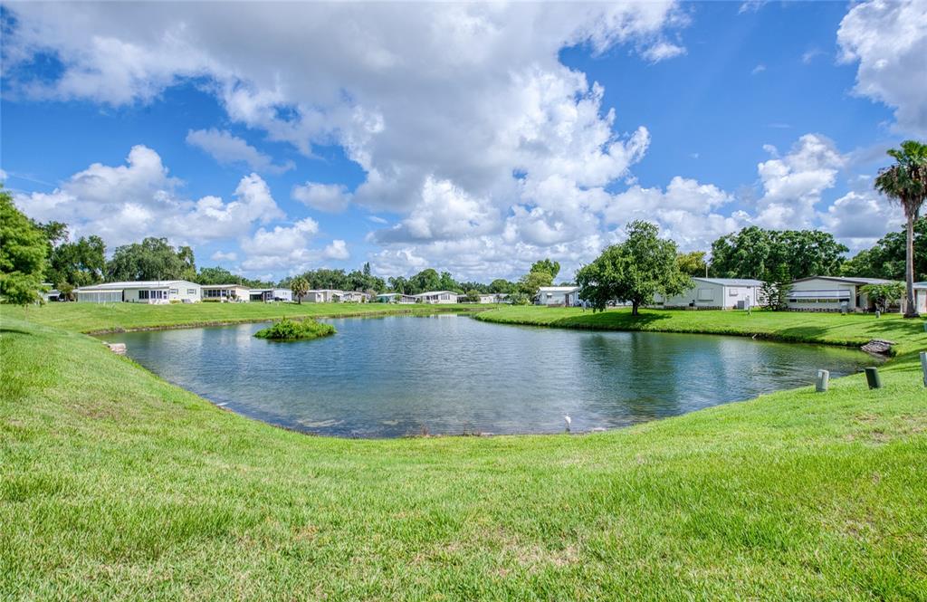 A small pond sits in the center of a grassy yard surrounded by mobile homes — 86 COTTAGEWOOD DRIVE UNIT 36, SAFETY HARBOR, FL