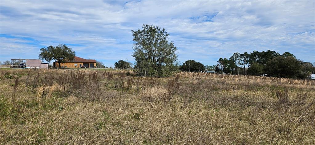 A large, grassy field with a house and trees in the background under a cloudy sky — 24207 TURKEY LAKE ROAD, HOWEY IN THE HILLS, FL