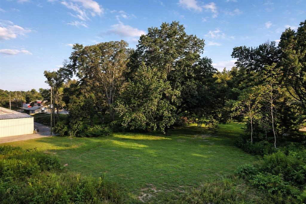 A grassy lot features several large, mature trees under a blue sky with scattered clouds — 942 NE 35TH STREET, OCALA, FL