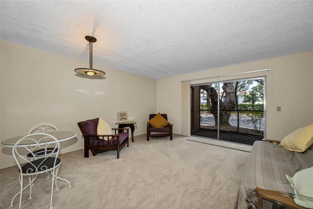 4411 SHADY TERRACE LANE UNIT 115, TAMPA, FL — photo 5 of 25