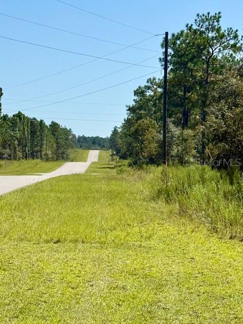 A paved road stretches into the distance through a grassy, wooded landscape — 135 COURT SE, DUNNELLON, FL