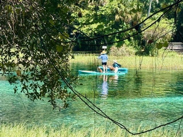 Two people paddle a turquoise kayak with a dog on a clear, sunny river — 135 COURT SE, DUNNELLON, FL