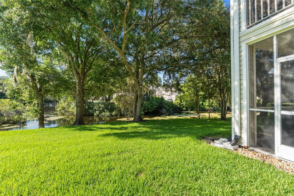A grassy backyard with mature trees overlooks a pond next to a screened-in porch — 1920 HAMMOCKS AVENUE UNIT 1002, LUTZ, FL
