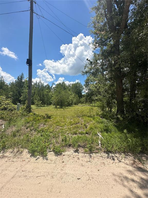 209TH ROAD, LIVE OAK, FL — photo 2 of 7
