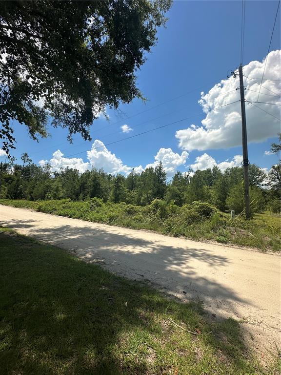209TH ROAD, LIVE OAK, FL — photo 3 of 7