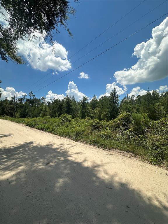 209TH ROAD, LIVE OAK, FL — photo 4 of 7
