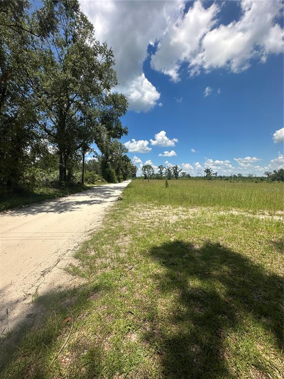 209TH ROAD, LIVE OAK, FL — photo 5 of 7