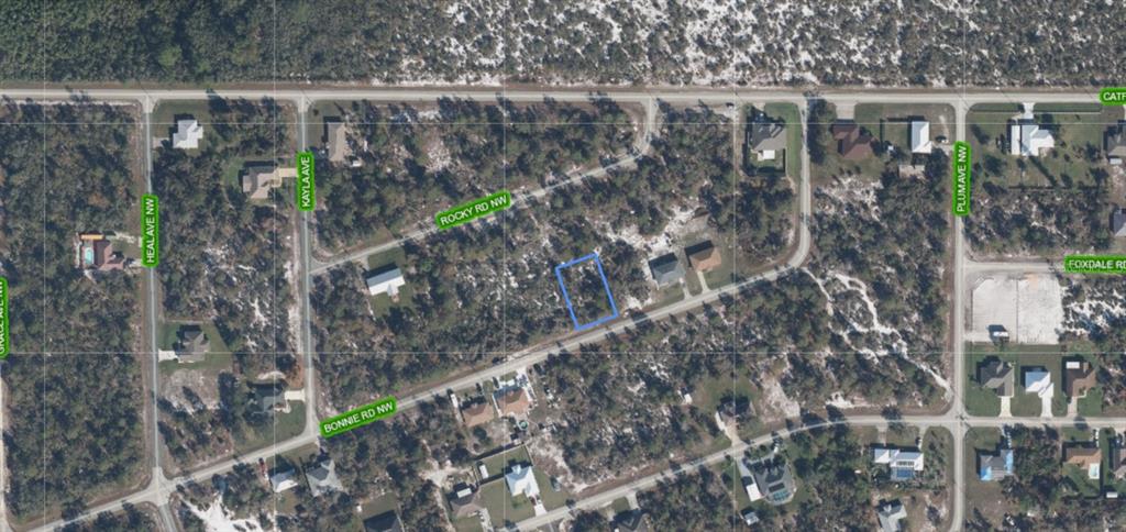 An aerial map view shows a vacant rectangular lot highlighted in blue on a residential street — 117 BONNIE ROAD NW, LAKE PLACID, FL
