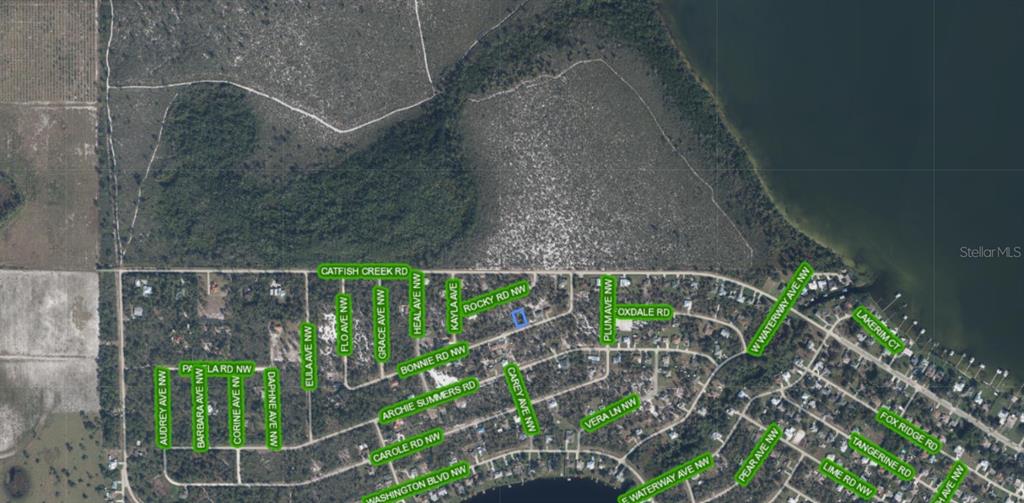 This is an aerial map showing a residential neighborhood with a highlighted property lot — 117 BONNIE ROAD NW, LAKE PLACID, FL