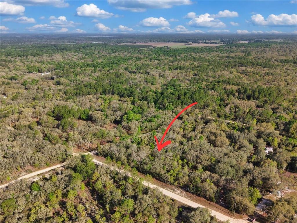 An aerial view shows a wooded, undeveloped plot of land with a red arrow pointing down — Lot 362 NE 82ND PLACE, BRONSON, FL
