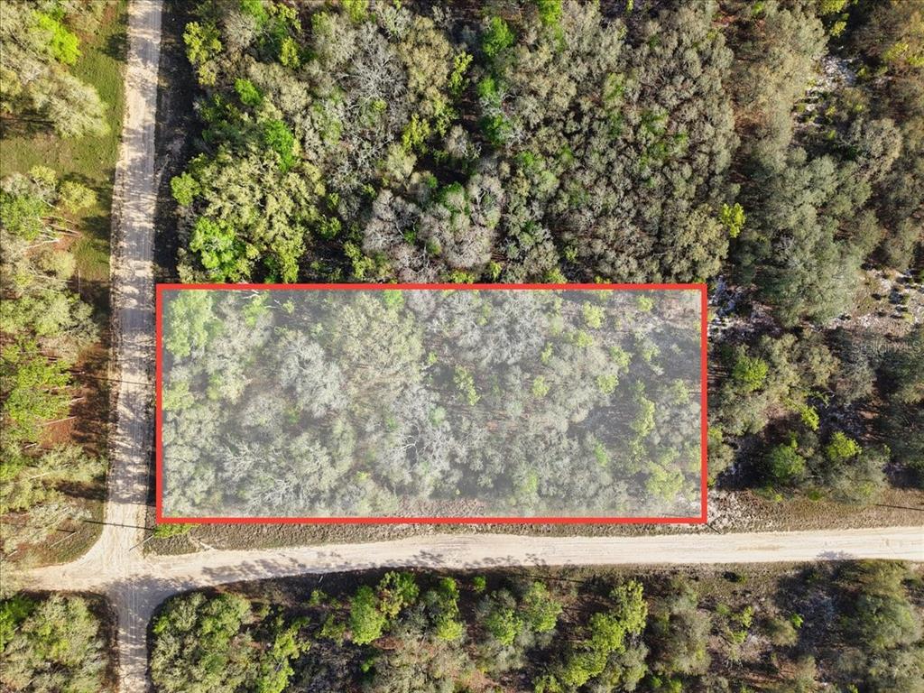 An aerial view shows a rectangular plot of land highlighted in red among wooded terrain — Lot 362 NE 82ND PLACE, BRONSON, FL
