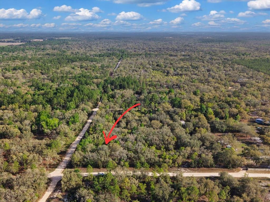 An aerial view shows a wooded, undeveloped plot of land bordered by dirt roads — Lot 362 NE 82ND PLACE, BRONSON, FL