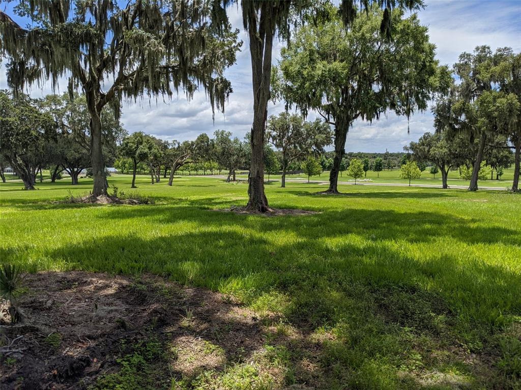 A grassy field with scattered mature trees draped in Spanish moss under a cloudy sky — LOT 25 SE 159TH LANE, SUMMERFIELD, FL