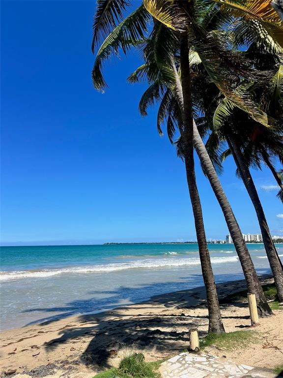 A sandy beach with palm trees overlooking the ocean under a clear blue sky — 3511 ISLA VERDE AVE UNIT 204, CAROLINA, PR