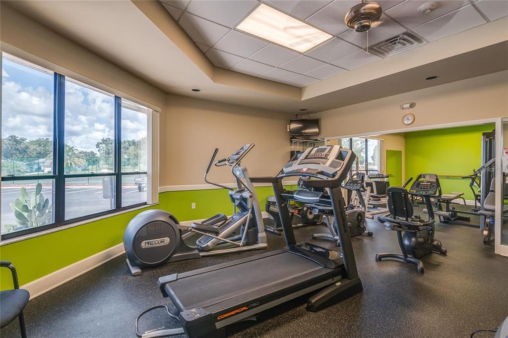 A fitness room features a treadmill, elliptical machine, stationary bike, and large windows with outdoor views — 5927 CORMORANT COURT, LAKELAND, FL