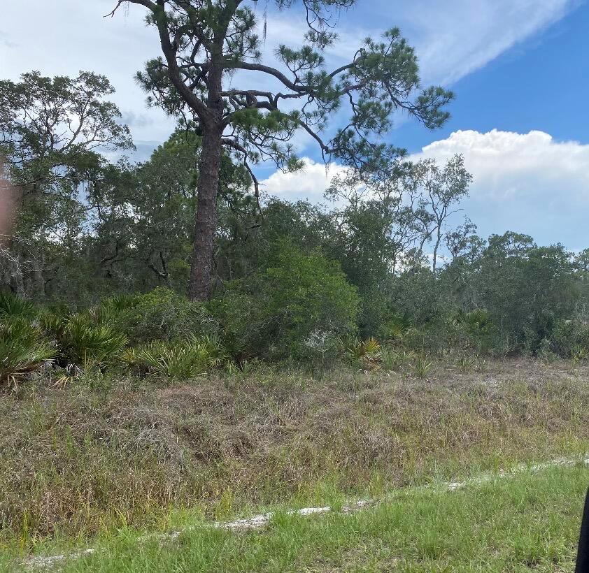 1002 Archie Summers Road, Lake Placid FL 33852