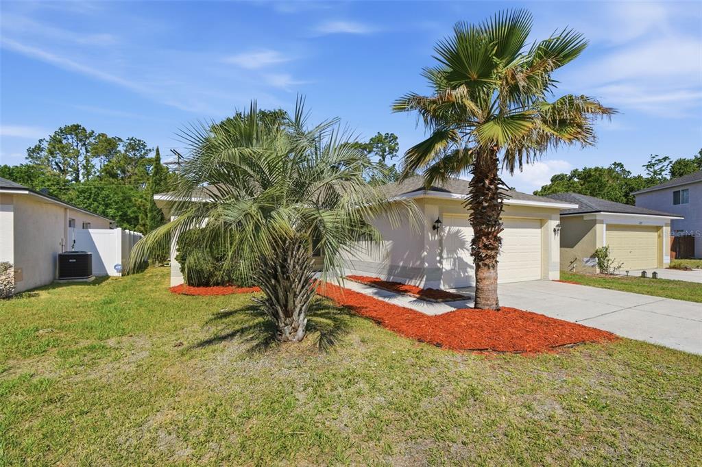 A single-story house with a tan exterior, a two-car garage, and two palm trees — 11727 BRENFORD CREST DRIVE, RIVERVIEW, FL