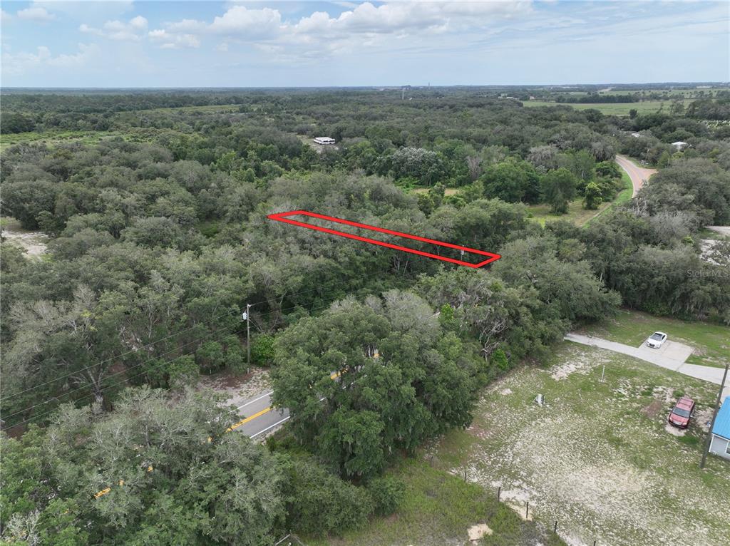 An aerial view shows a rectangular plot of land outlined in red amidst dense trees — 186 AVON PARK CUTOFF ROAD, FROSTPROOF, FL