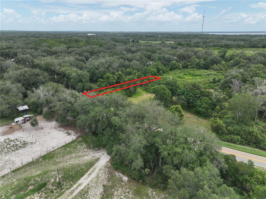 An aerial view shows a wooded lot outlined in red near a paved road — 186 AVON PARK CUTOFF ROAD, FROSTPROOF, FL