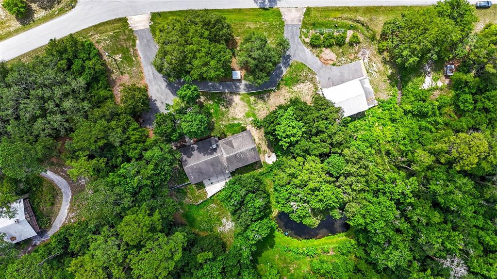 An aerial view shows a house, a detached garage, and a pond amidst dense trees — 4243 NANCY CREEK BOULEVARD, BROOKSVILLE, FL