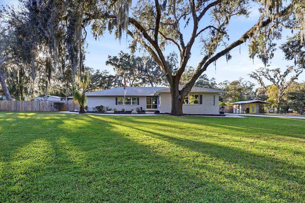 A single-story house with a large front lawn and mature trees with hanging moss — 30424 HILLSIDE LANE, WESLEY CHAPEL, FL