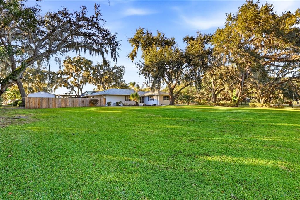 A single-story house sits behind a large green lawn under many mature oak trees — 30424 HILLSIDE LANE, WESLEY CHAPEL, FL