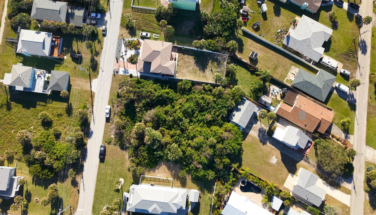 An aerial view shows a residential neighborhood with houses, driveways, and a central wooded lot — 1945 N Central Avenue, FL 32136, FL