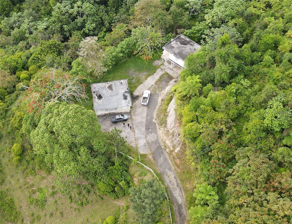 An aerial view shows two concrete buildings surrounded by dense forest with a paved driveway — 183, RAMAL 916 BARRIO CERRO GORDO, QBDA. ARENAS #, SAN LORENZO, PR