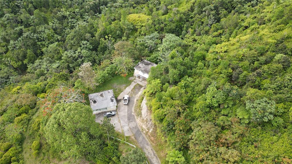 An aerial view shows two concrete buildings and a driveway surrounded by dense forest — 183, RAMAL 916 BARRIO CERRO GORDO, QBDA. ARENAS #, SAN LORENZO, PR