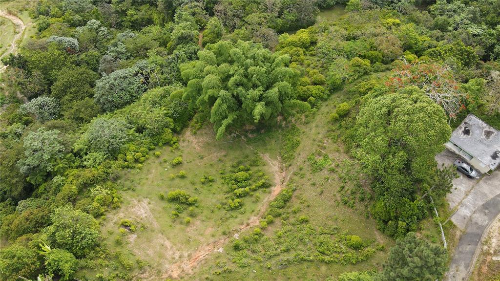 An aerial view shows a grassy, sloped lot with trees and a small house nearby — 183, RAMAL 916 BARRIO CERRO GORDO, QBDA. ARENAS #, SAN LORENZO, PR