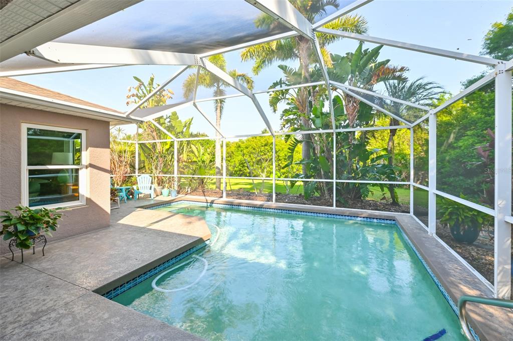 A screened-in swimming pool patio features a concrete deck and lush tropical landscaping — 4061 KINGSFIELD DRIVE, PARRISH, FL