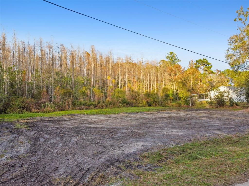 A cleared, muddy lot sits in front of a dense forest and a nearby house — 26305 BLUESTRIPE DRIVE, WESLEY CHAPEL, FL