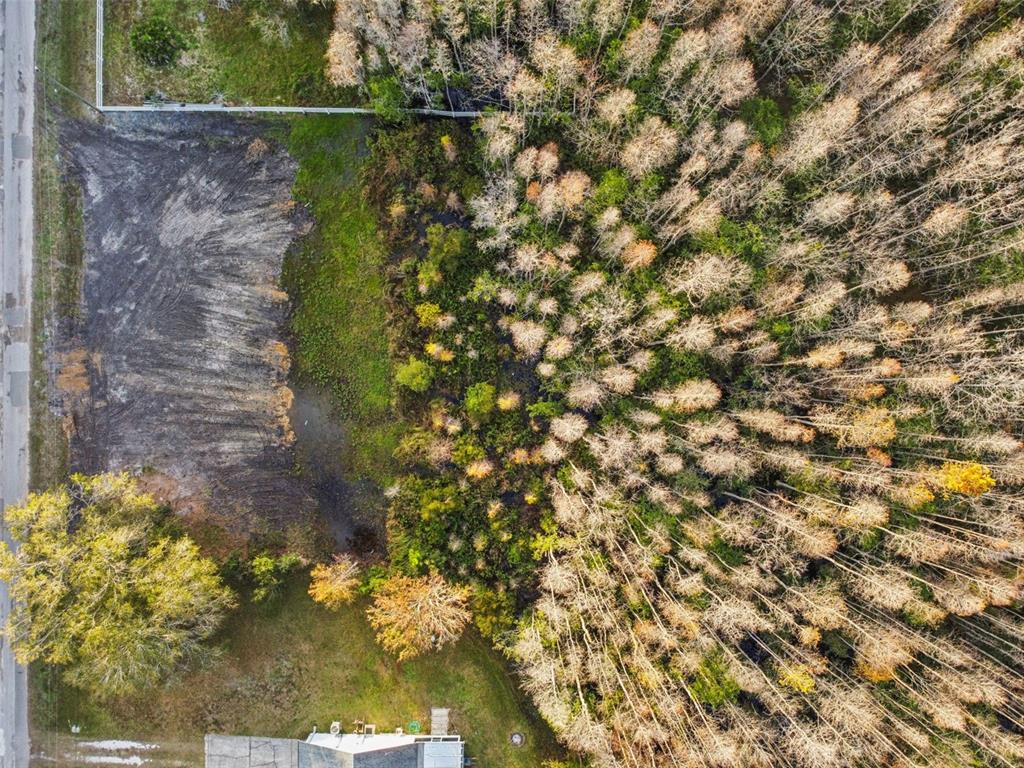 An aerial view shows a cleared dirt lot adjacent to a dense, wooded forest area — 26305 BLUESTRIPE DRIVE, WESLEY CHAPEL, FL