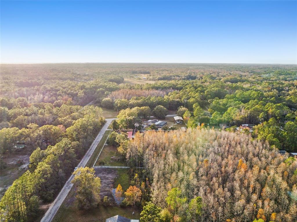 An aerial view shows a rural property with a house, outbuildings, and surrounding forest — 26305 BLUESTRIPE DRIVE, WESLEY CHAPEL, FL