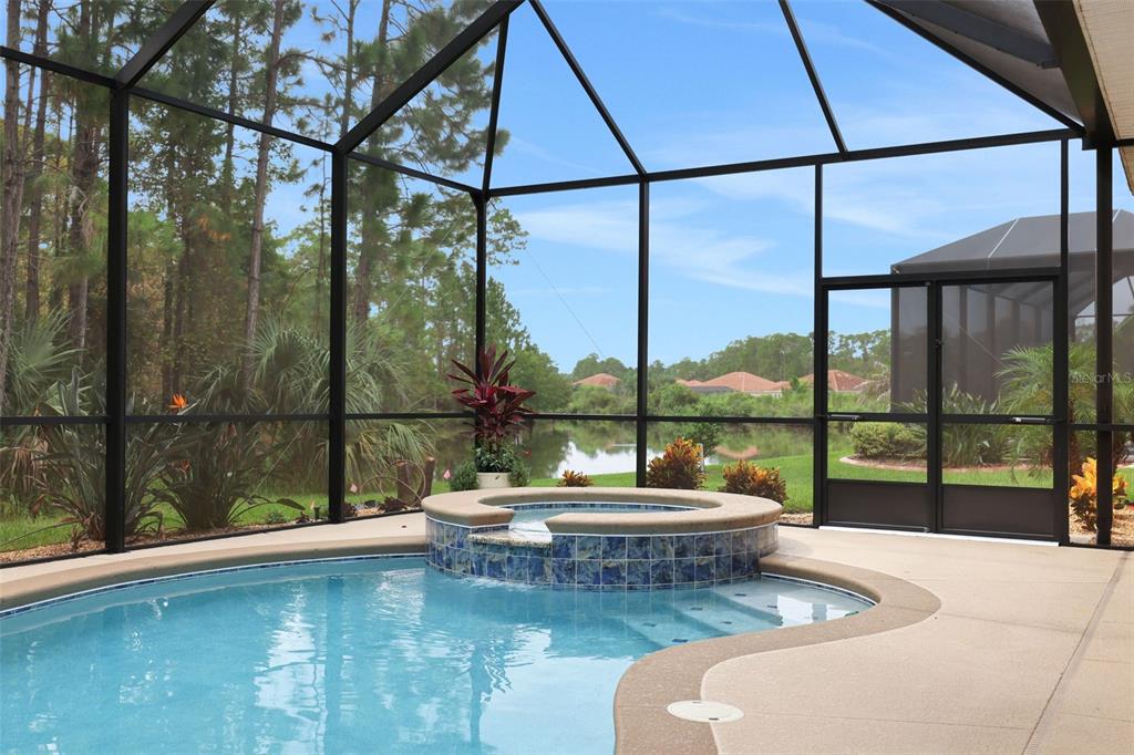 A screened-in pool and hot tub area overlooking a lake and wooded landscape — 142 PORTOFINO BLVD, NEW SMYRNA BEACH, FL