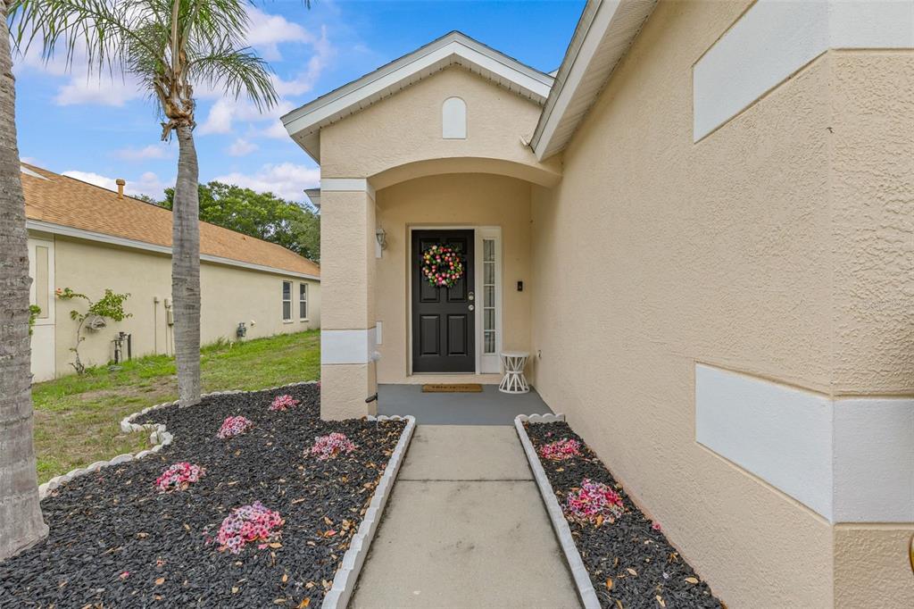 A concrete walkway leads to the front entrance of a beige house with a black door — 10611 LAKESIDE VISTA DRIVE, RIVERVIEW, FL