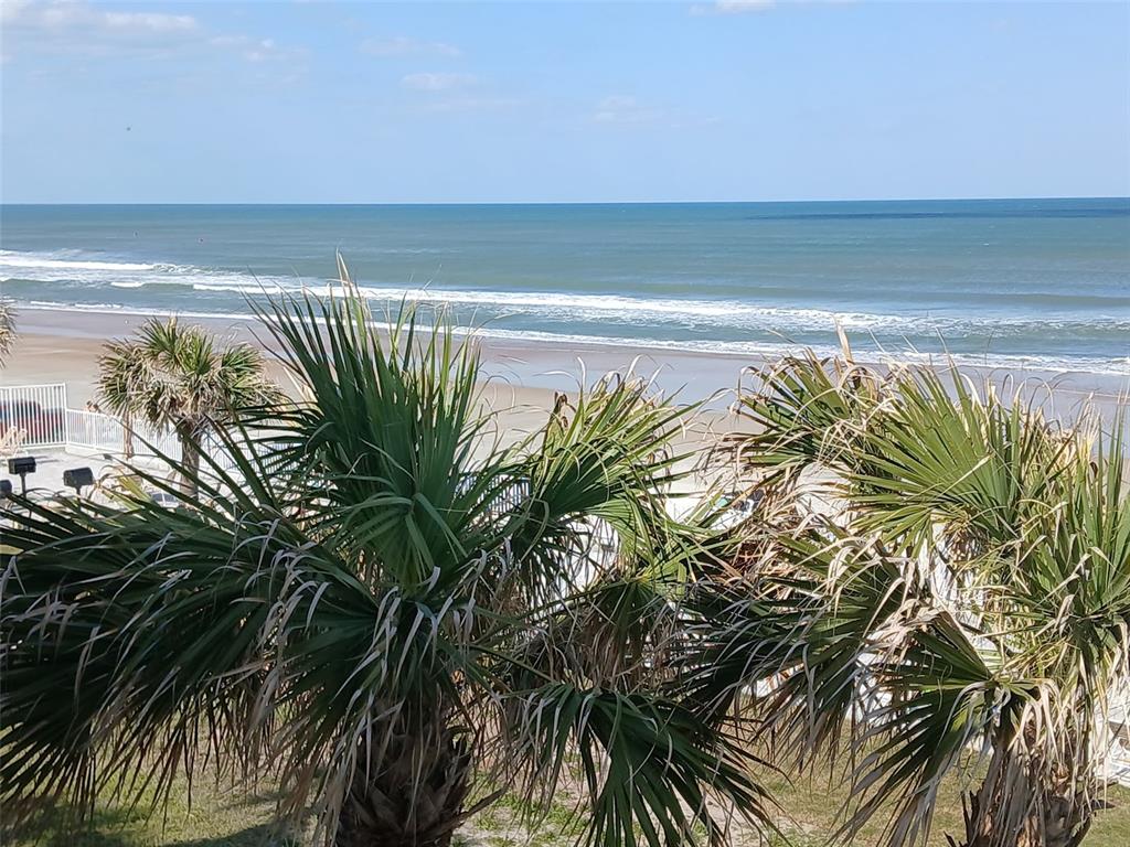 A view of the ocean and sandy beach from behind several palm trees — 935 S ATLANTIC AVENUE UNIT 364, DAYTONA BEACH, FL