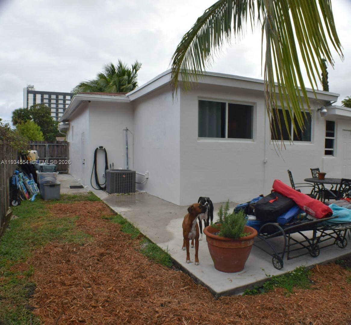 The exterior of a white house features a concrete patio, two dogs, and a yard — 630 NE 165th St, Miami FL 33162, MIAMI, FL