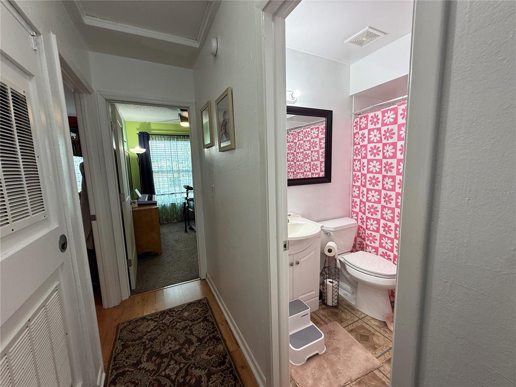 A hallway leads to a bedroom and a bathroom with a pink floral shower curtain — 10009 REGAL WOODS LANE, TAMPA, FL
