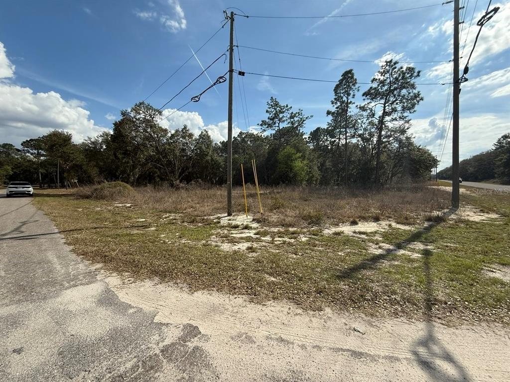 A vacant, grassy lot with utility poles and trees under a blue sky — 11745 ORANGE ROAD, OCKLAWAHA, FL