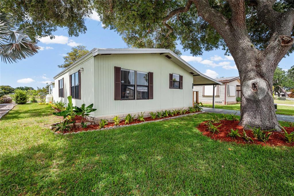 A light-colored mobile home with dark shutters sits on a lawn beside a large tree — 36428 MALIBU WAY, ZEPHYRHILLS, FL