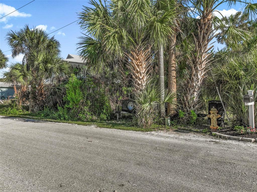 A paved road runs in front of a lot with palm trees and a fire hydrant — 16 WESTMAYER PLACE, FLAGLER BEACH, FL