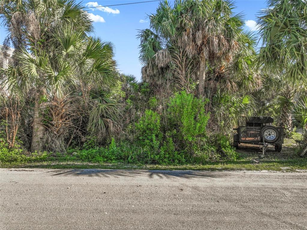 A dense, overgrown vacant lot with palm trees and a small utility trailer on the side — 16 WESTMAYER PLACE, FLAGLER BEACH, FL