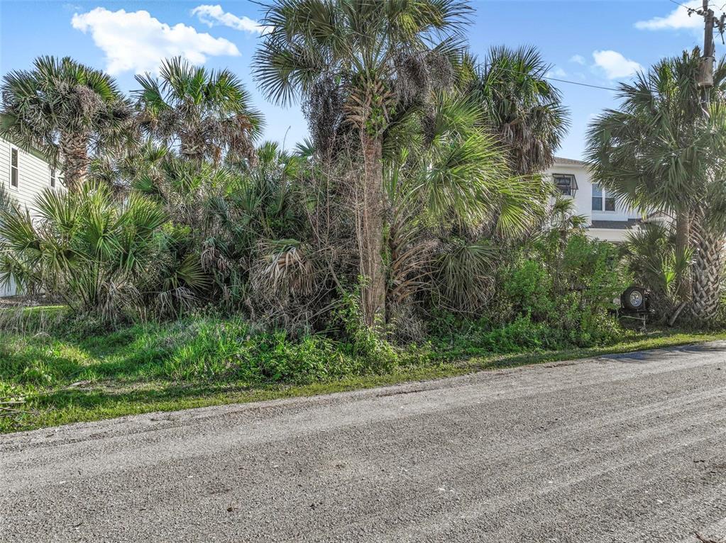 A vacant, overgrown lot with palm trees and dense vegetation sits beside a gravel road — 16 WESTMAYER PLACE, FLAGLER BEACH, FL