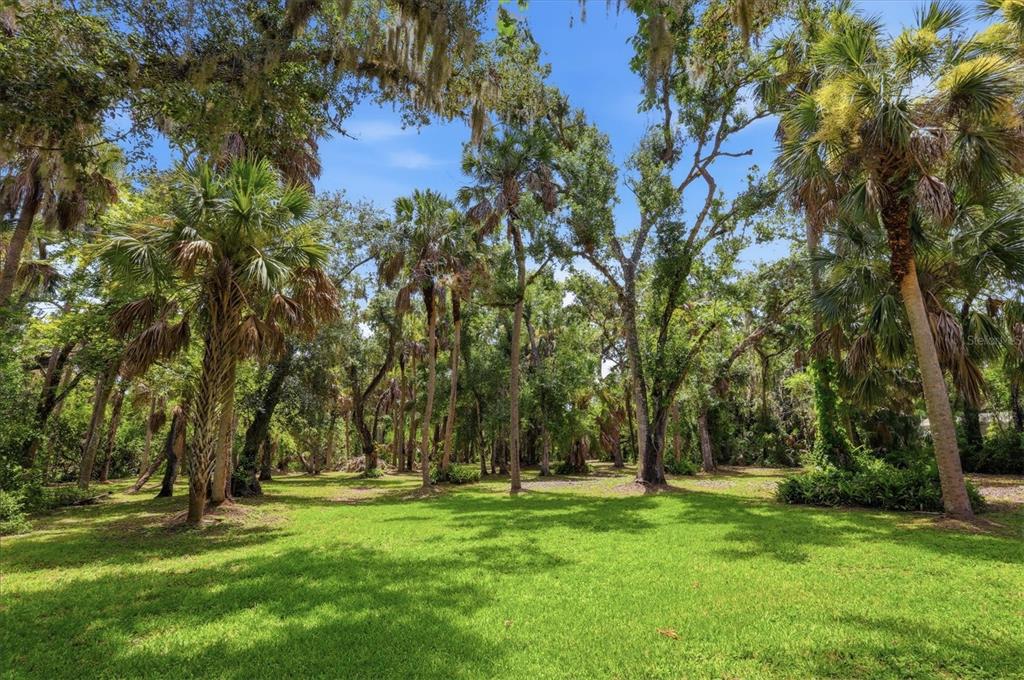A grassy backyard features numerous tall palm trees and large oak trees with hanging moss — 3805 62ND STREET E, BRADENTON, FL