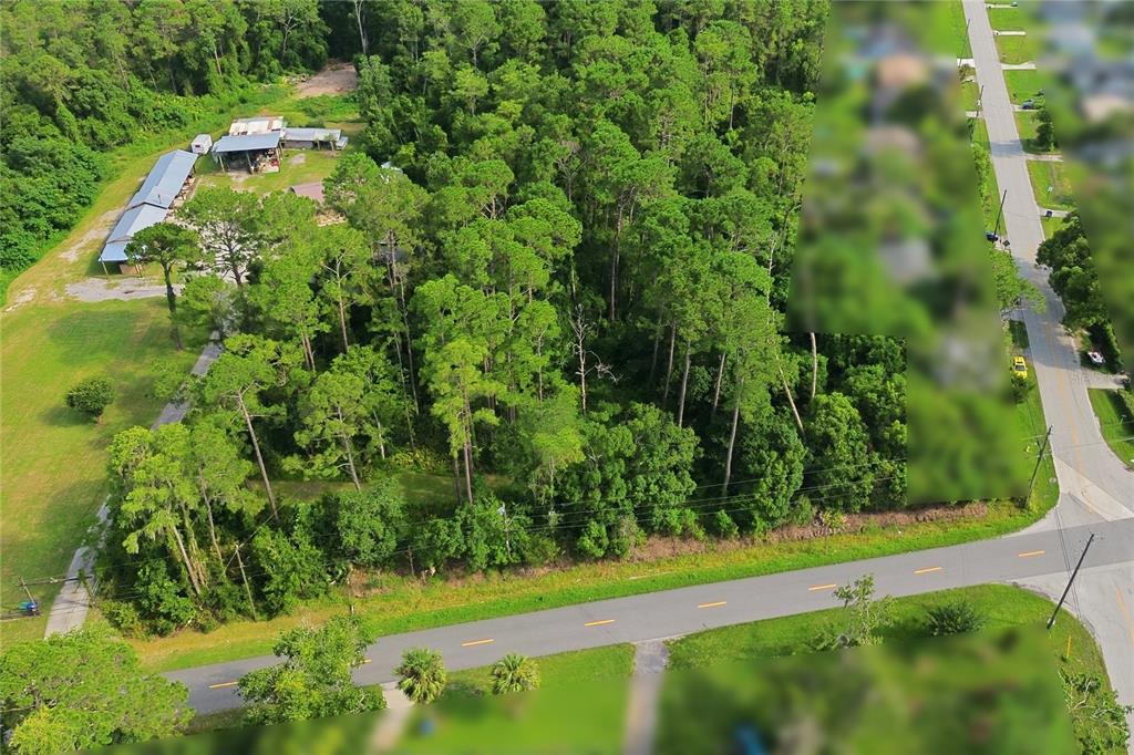 An aerial view shows a wooded lot with a cluster of outbuildings near a road — 1800 OLD DAYTONA ROAD, DELAND, FL