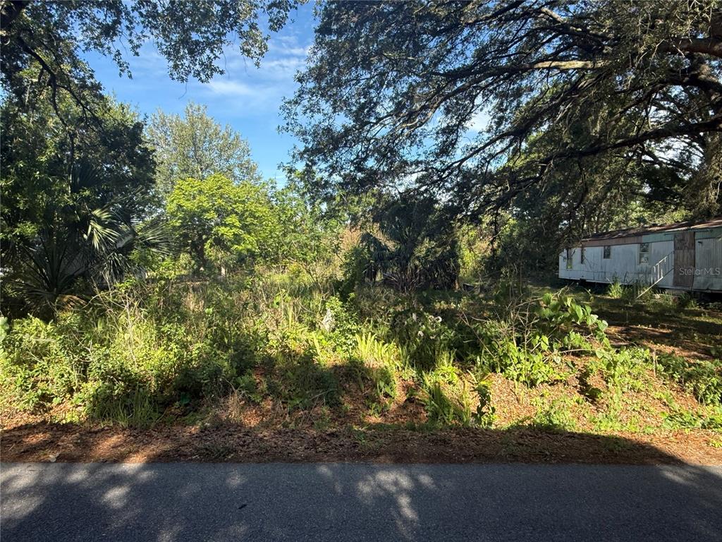 A vacant, overgrown lot with trees and a mobile home visible on the right side — 1251 37TH STREET NW, WINTER HAVEN, FL