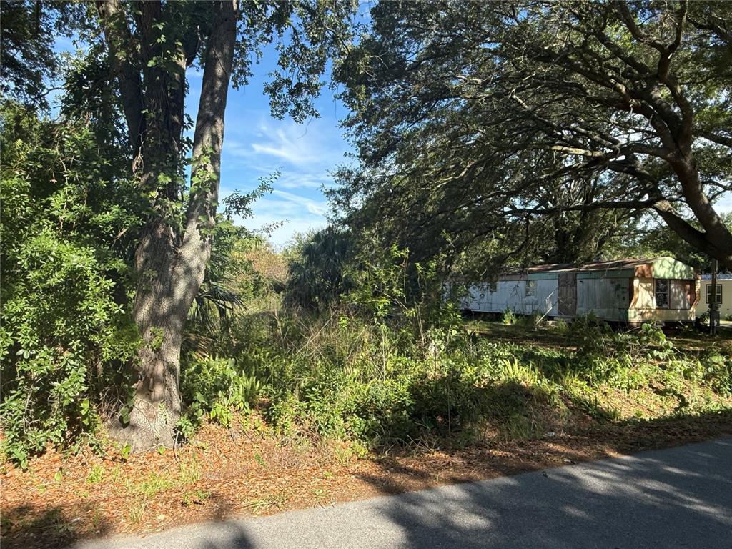 An overgrown lot features a weathered mobile home shaded by large, mature oak trees — 1251 37TH STREET NW, WINTER HAVEN, FL